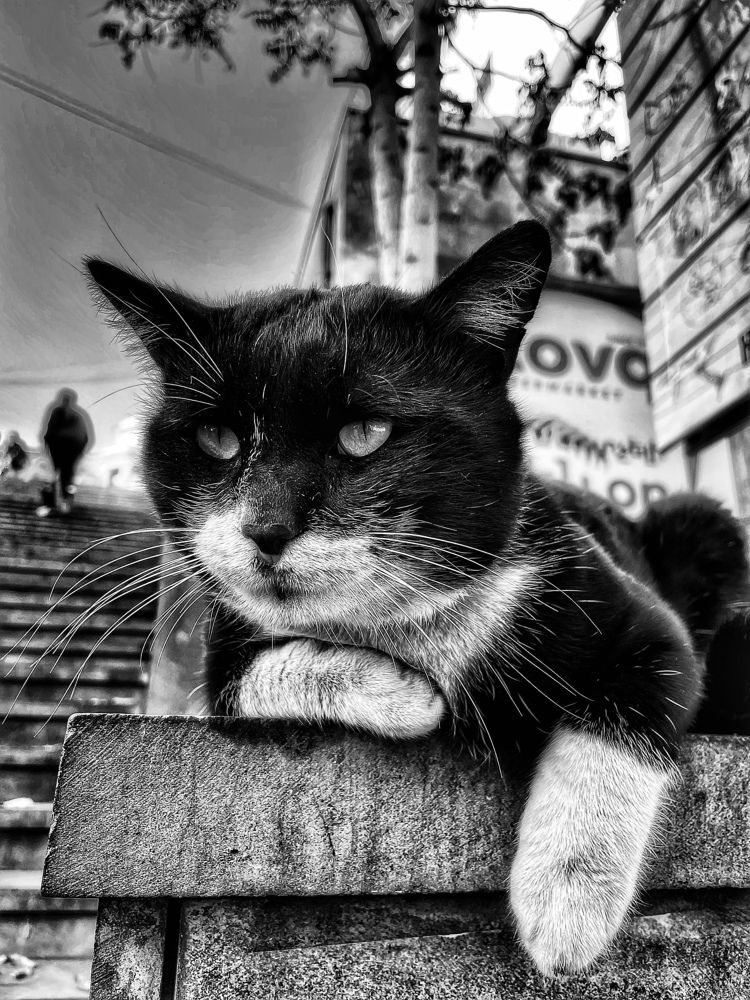 Photograph by Iuliia Akhulkova