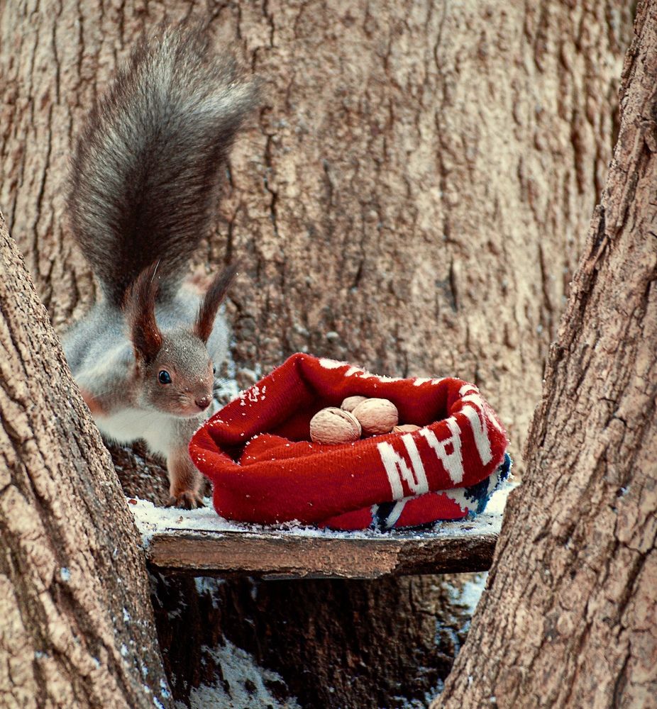 Фотография автора Олег Васильев