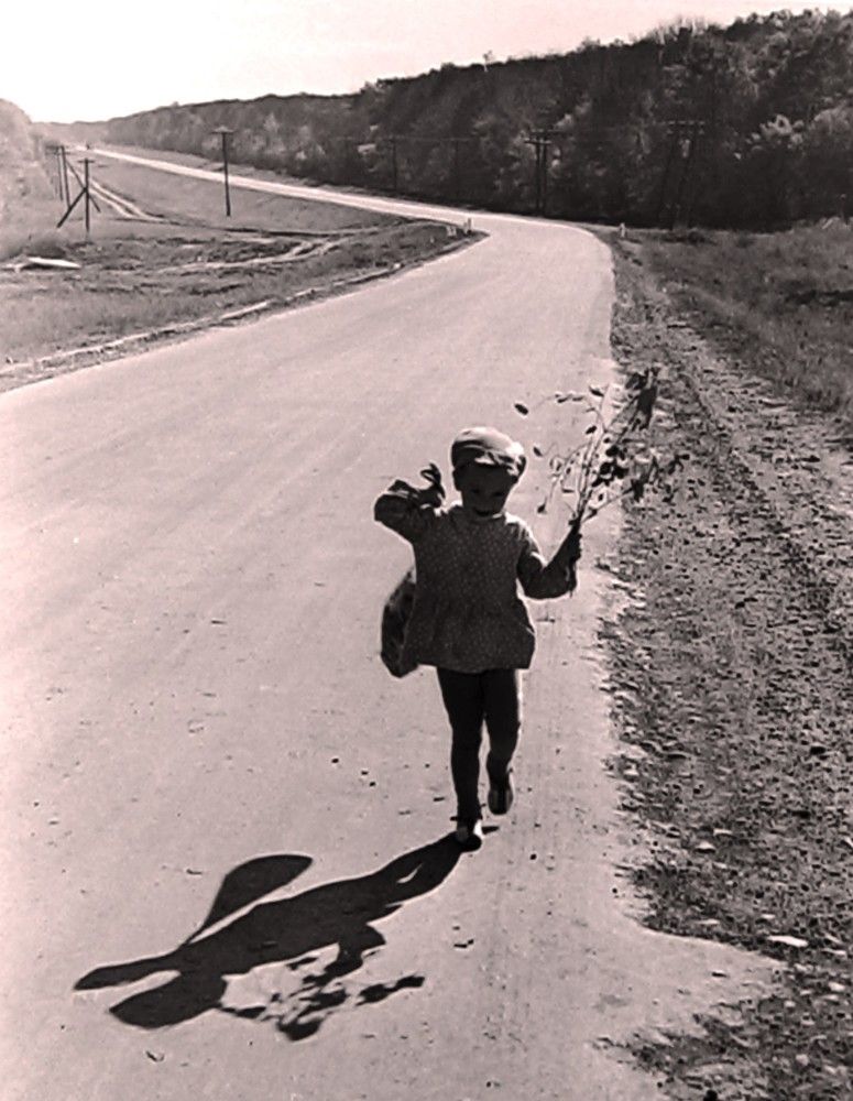 Photograph by Галина Воеводенко