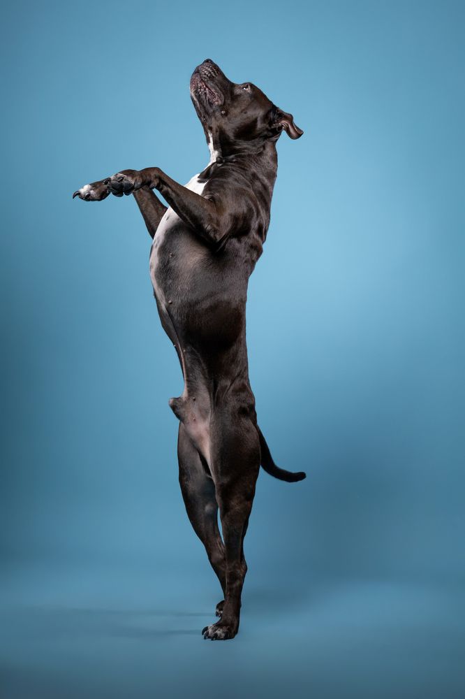 Photograph by Константинова Лина