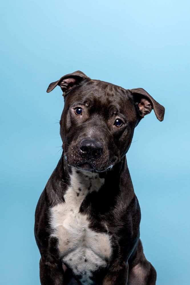 Photograph by Константинова Лина