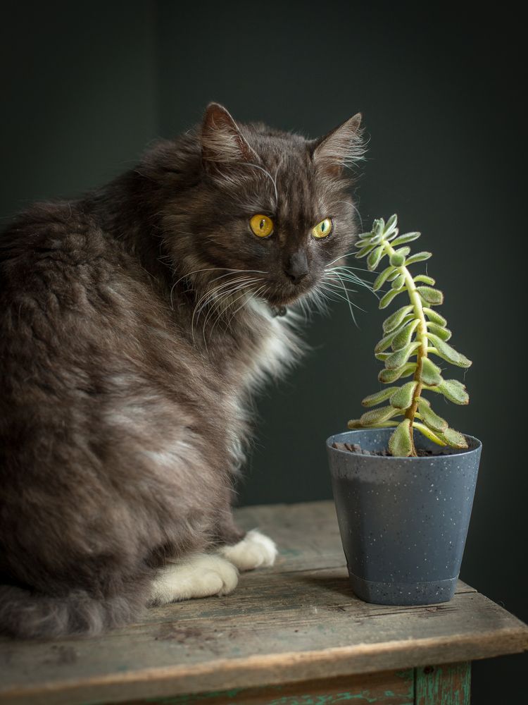 Photograph by Наталья Брюхненко