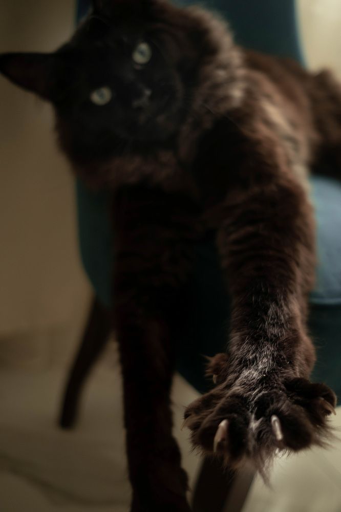 Photograph by Светлана Мнацаканянц