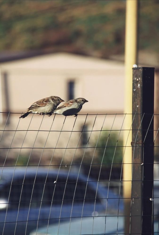 Photograph by Ирина Тихая