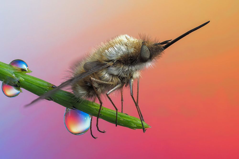 Photograph by Лукашук Евгений