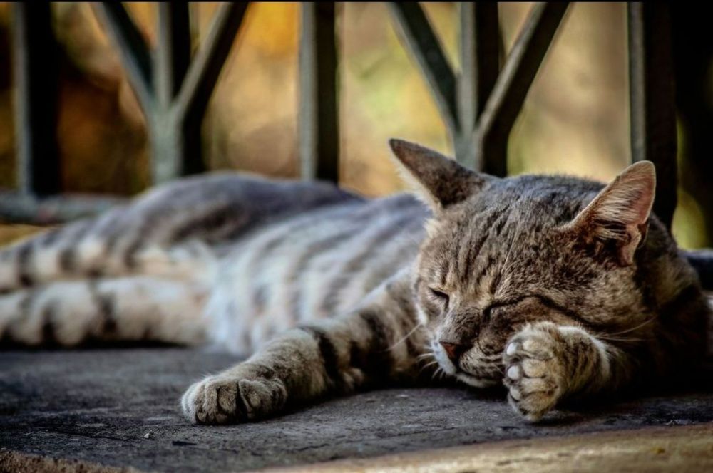 Photograph by Ioannis Graidis