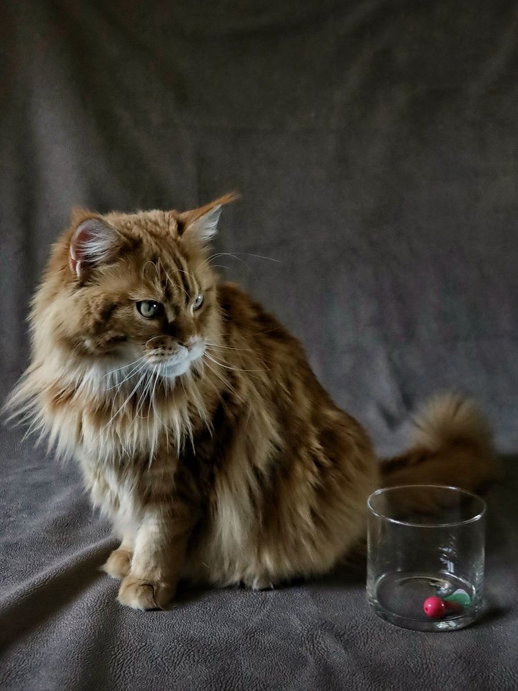 Photograph by Angelica Medvedeva