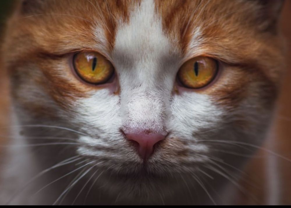 Photograph by Ioannis Graidis