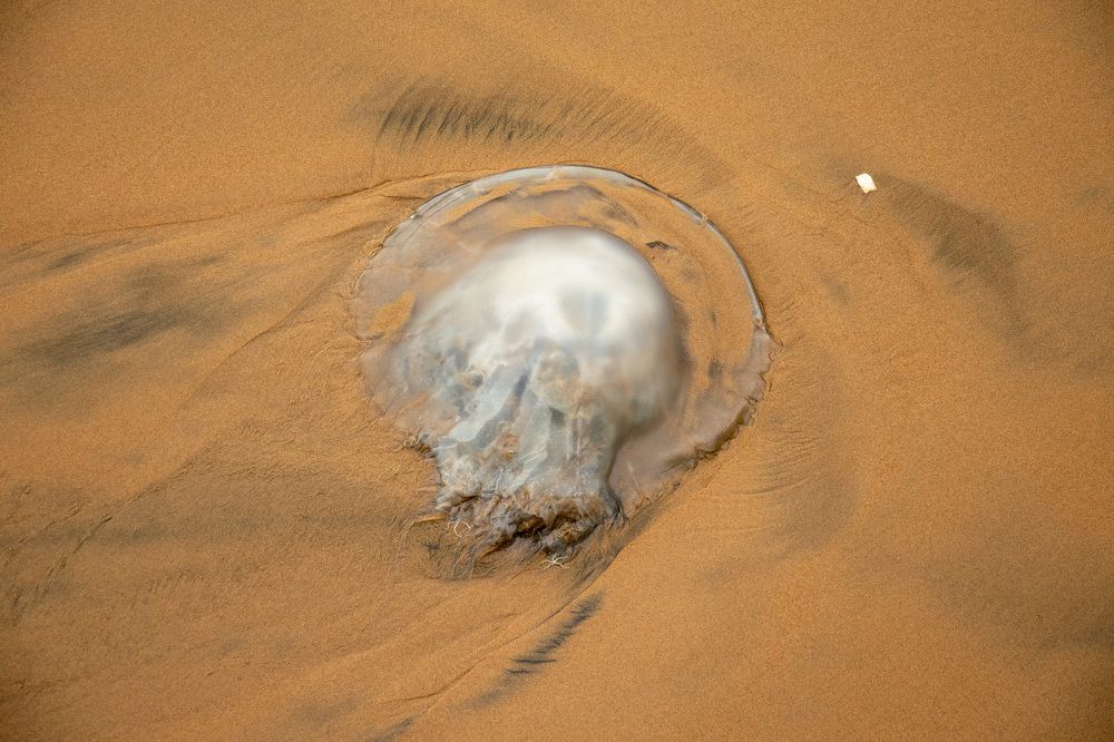 Фотография автора Mateusz Kentner