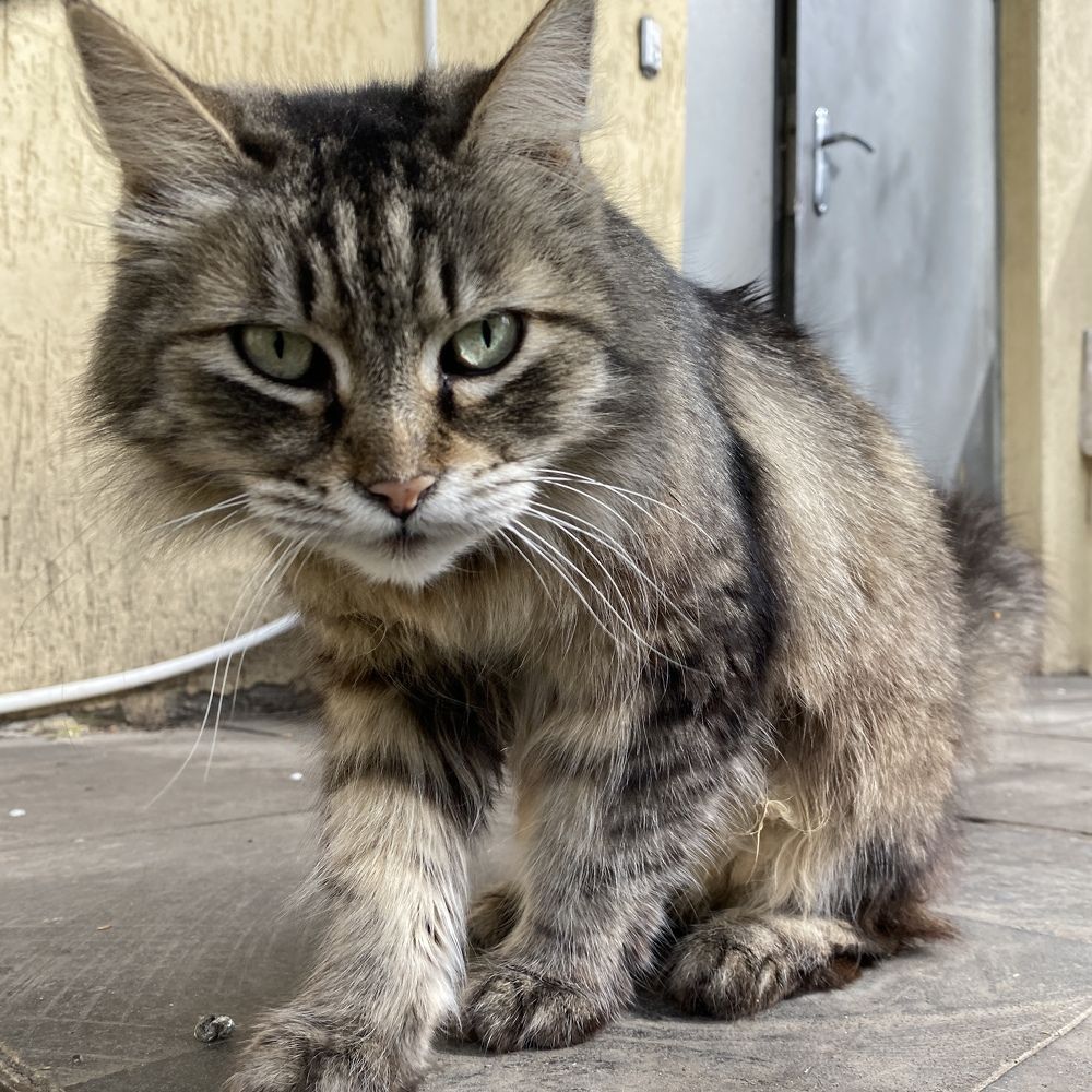 Photograph by Сергей Смирнов