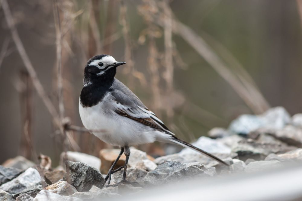 Photograph by Наталья Сорокина