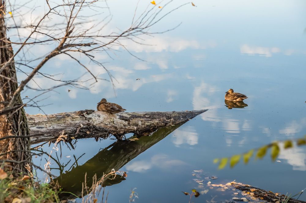 Photograph by Наталья Сорокина