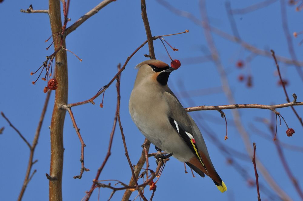 Photograph by Наталья Сорокина