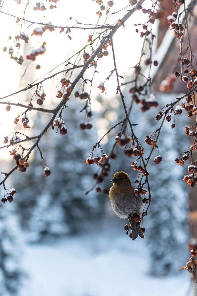 Photograph by Наталья Сорокина