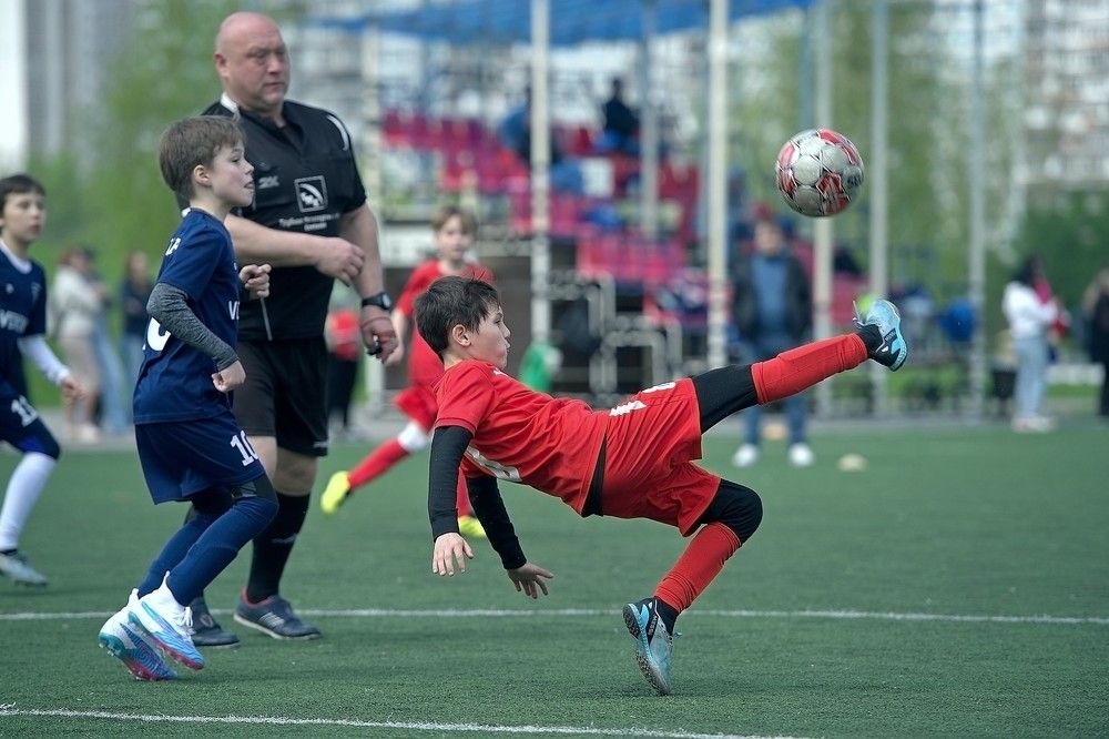 Photograph by Михаил Гущин