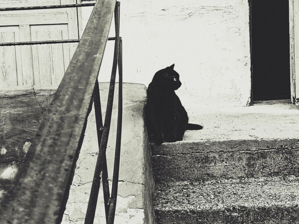 Photograph by Александра Ламанова