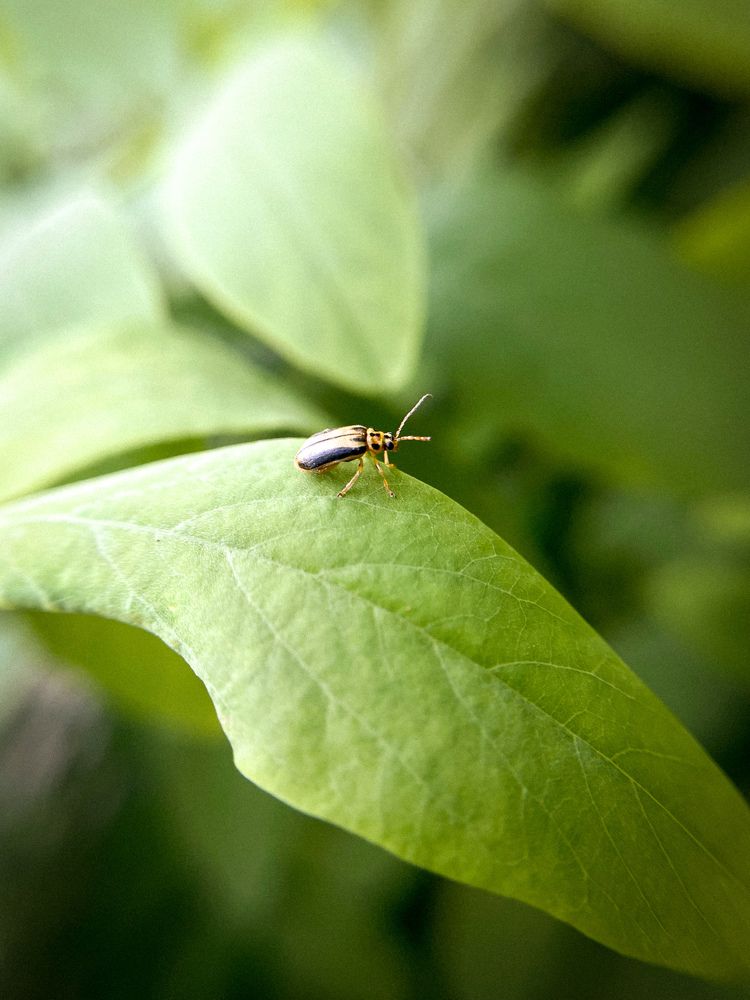 Photograph by Екатерина