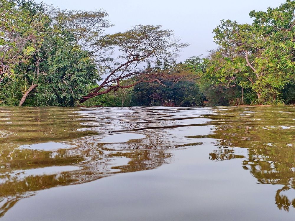 Photograph by Marzio Fattorini