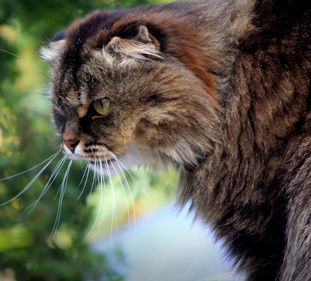 Photograph by Игорь Быков