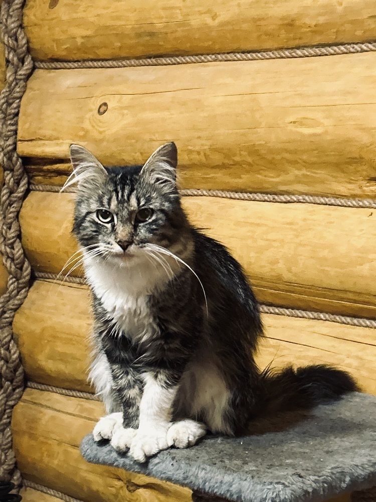 Photograph by Елена Маркова