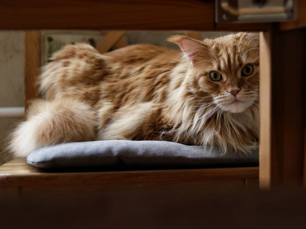 Photograph by Angelica Medvedeva