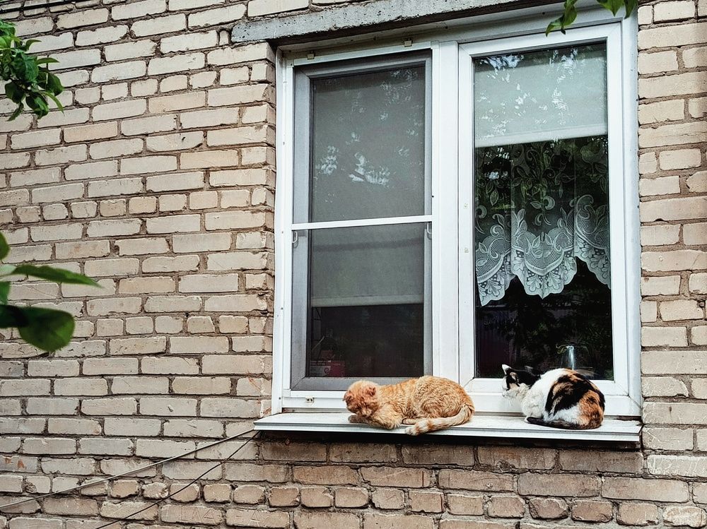 Photograph by Александра Ламанова