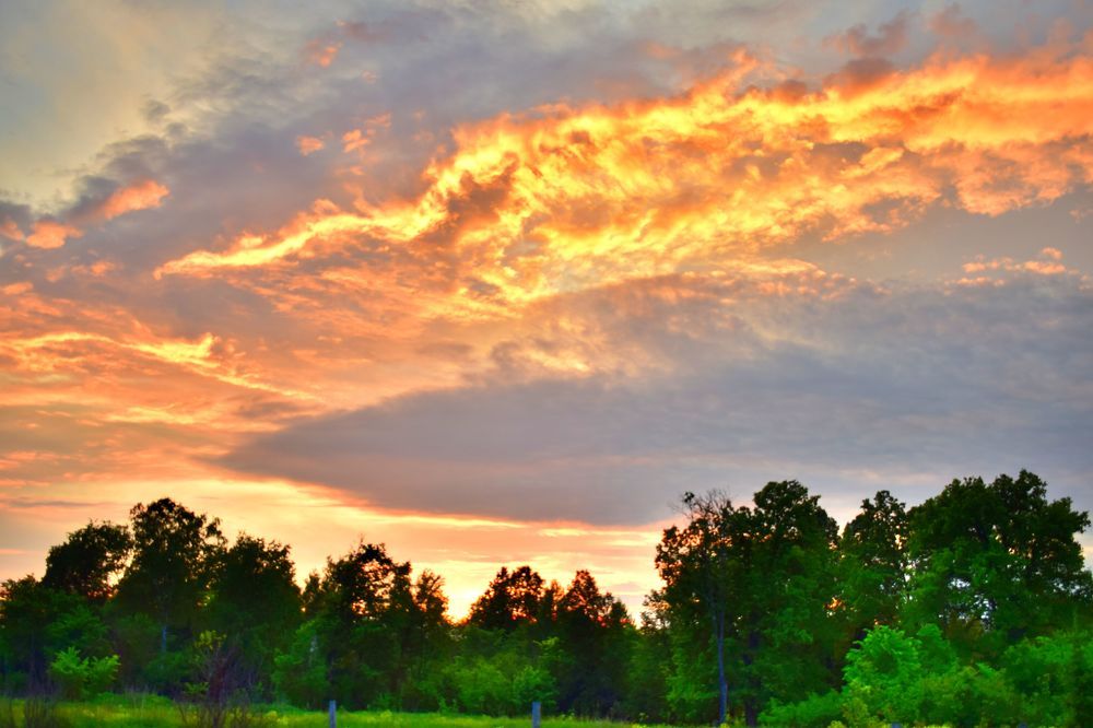 Предупреждение 2024 от Природы...