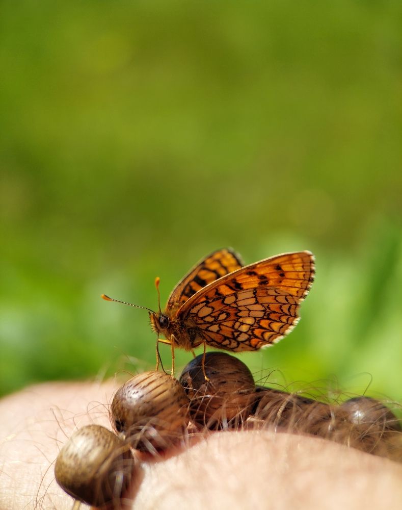 Photograph by Данила Черезов