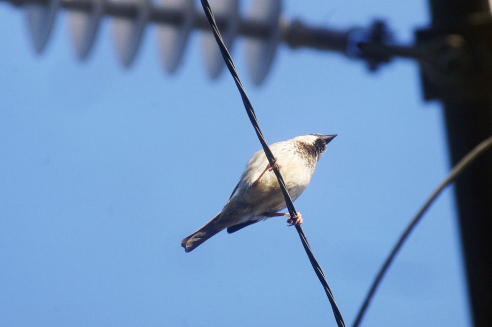 Photograph by Julio Felipe Santo Tomas