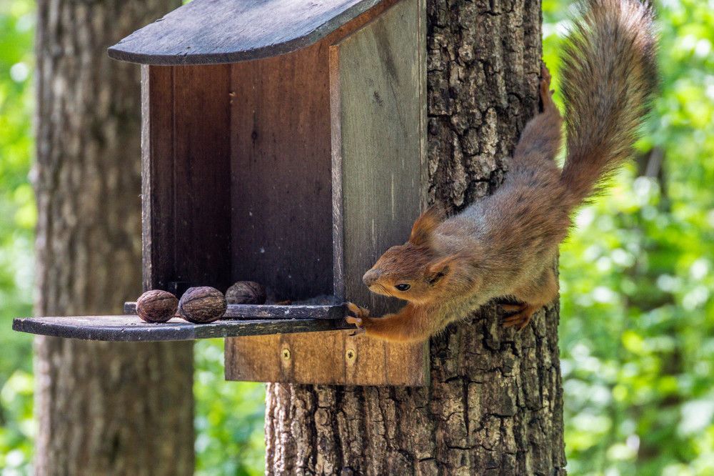 Photograph by Александр Карасев