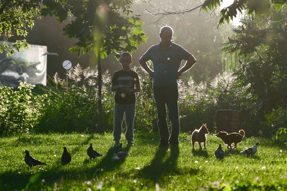 Летняя зарисовка