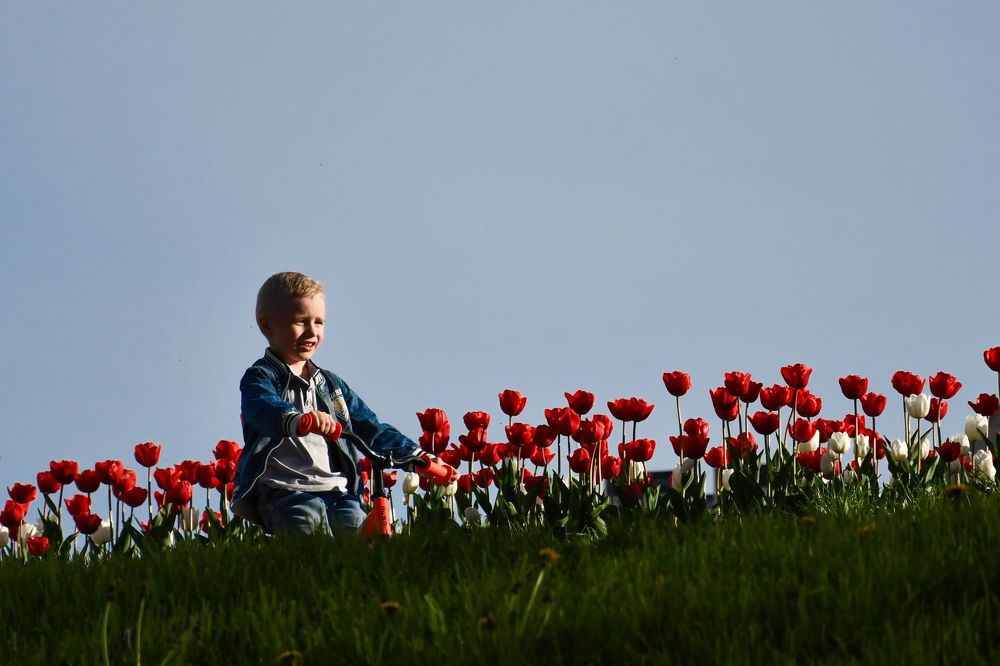Навстречу весне