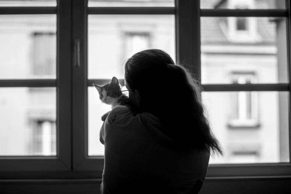 New companion for life