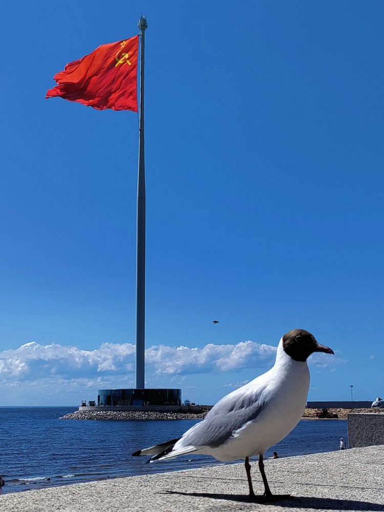 Photograph by Елена Шишкина