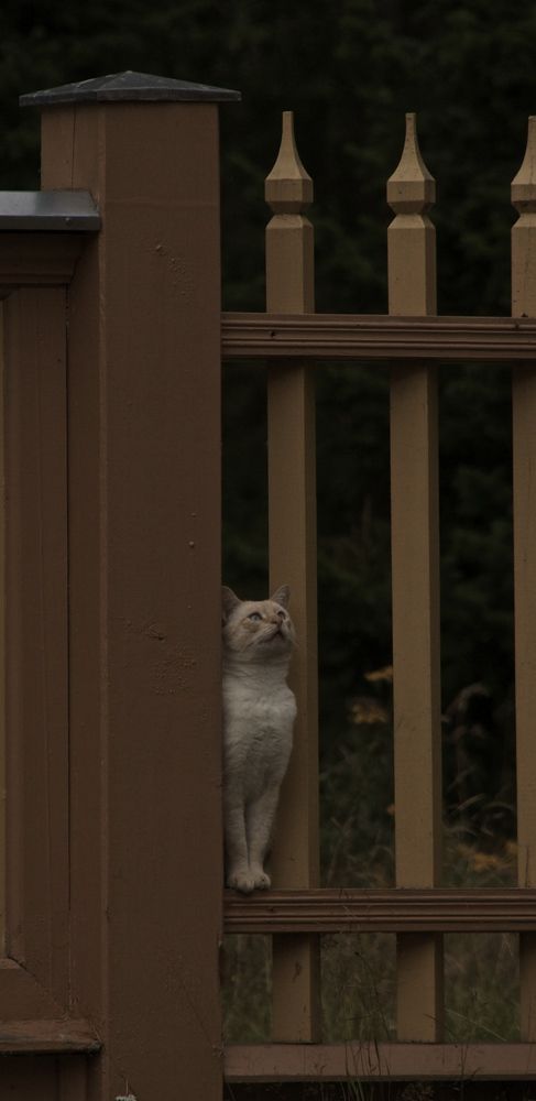 Photograph by Арина