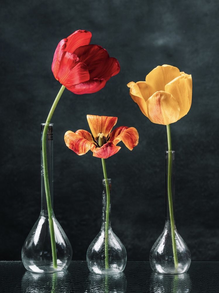 Photograph by Вадим Вейдт