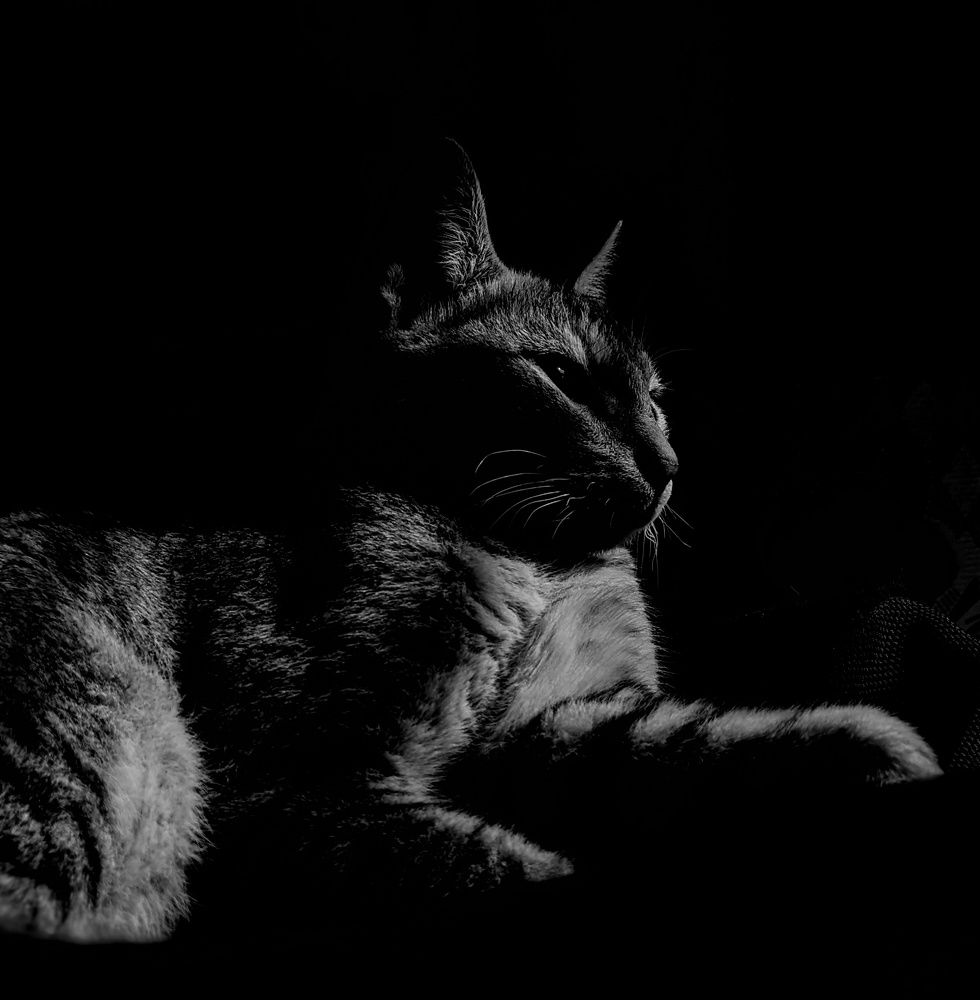 Photograph by Ishmam Ishmam