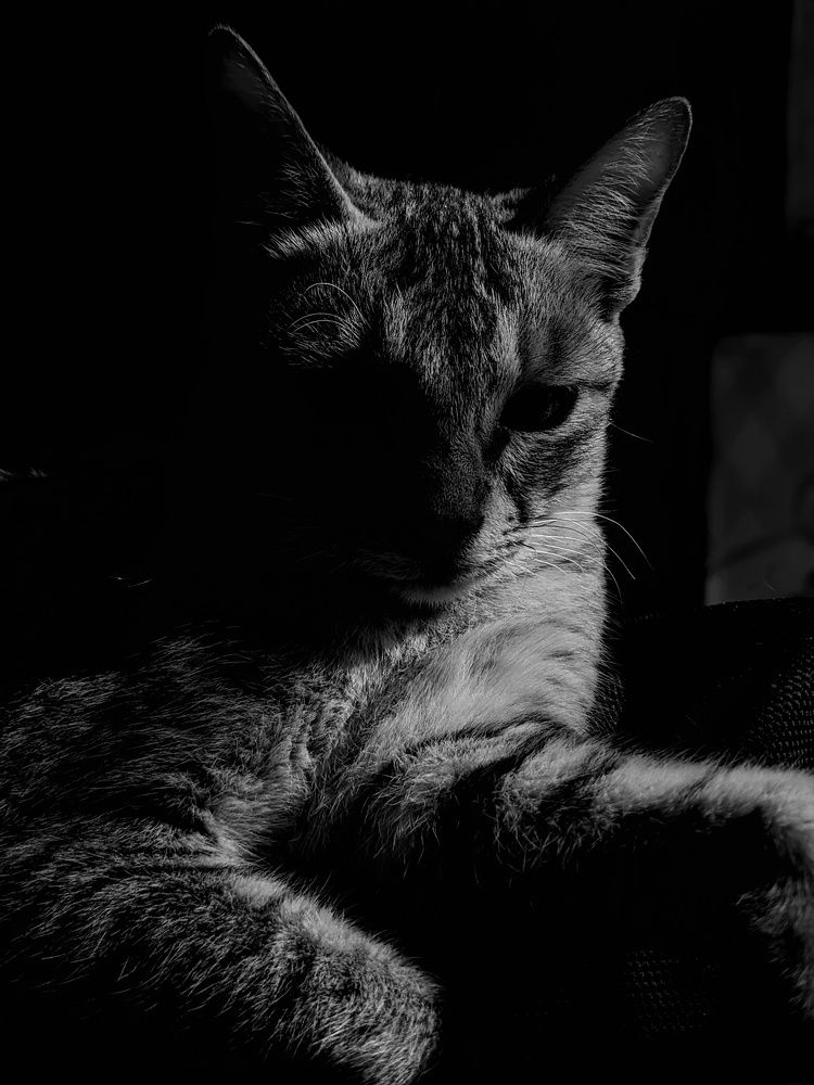 Photograph by Ishmam Ishmam