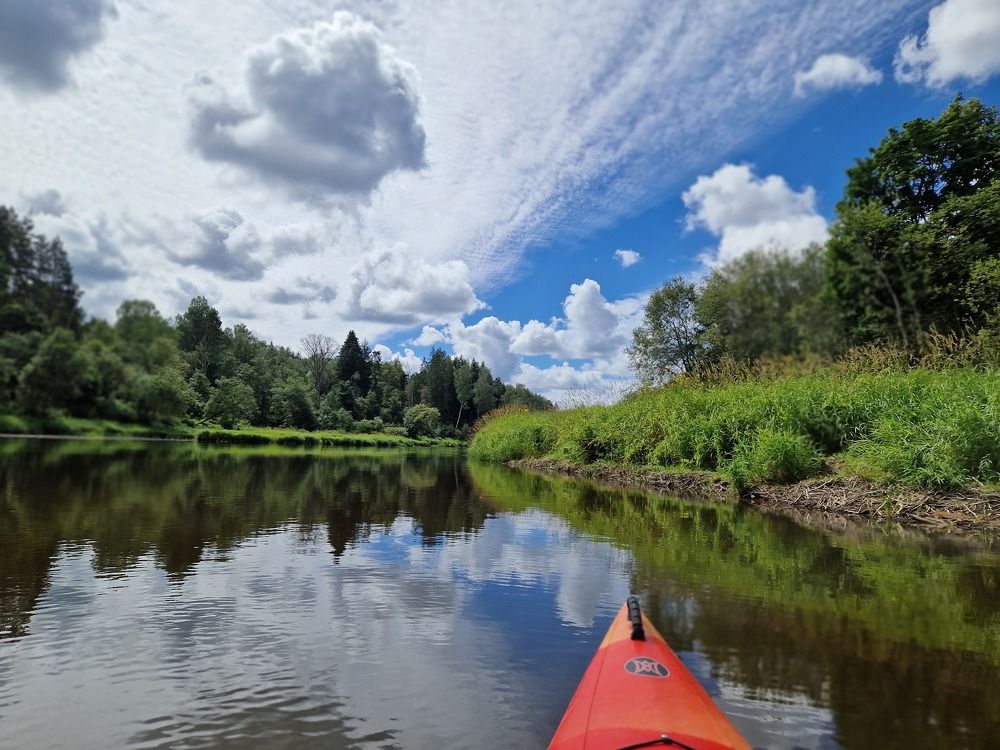 Photograph by Инна Савичева