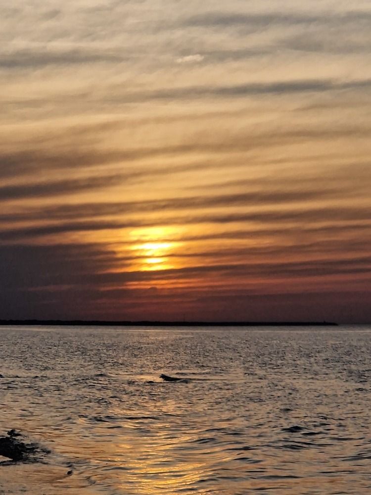 Photograph by Инна Савичева