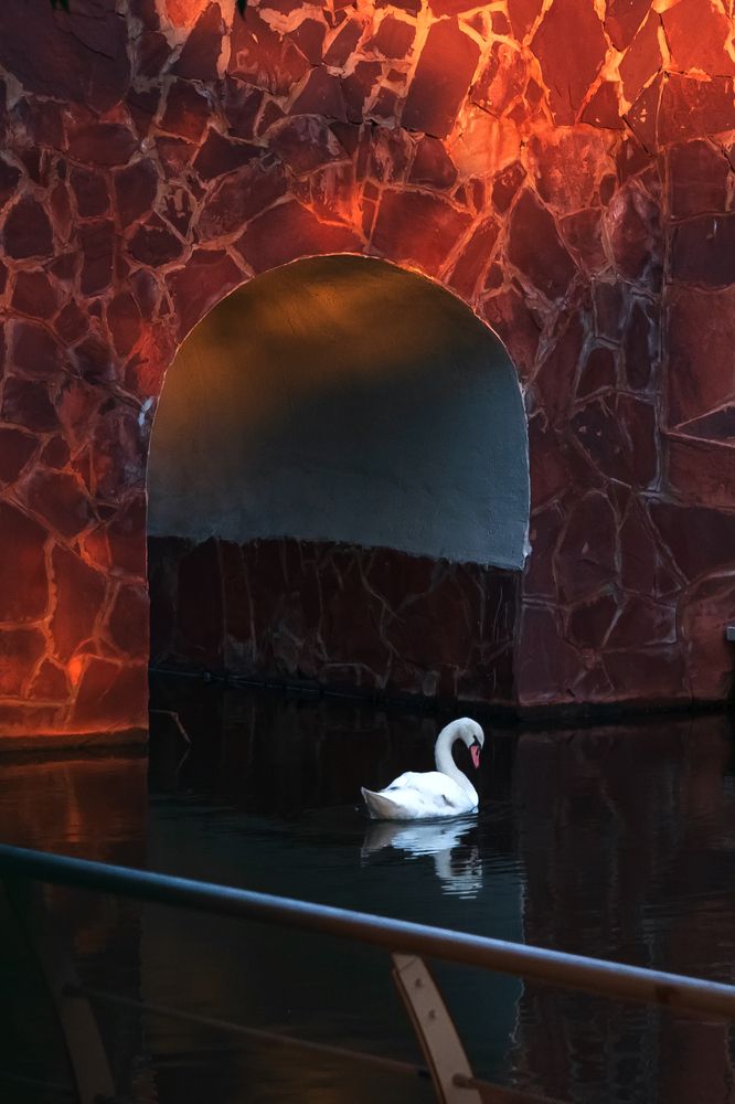 Photograph by Наталья Ефимова