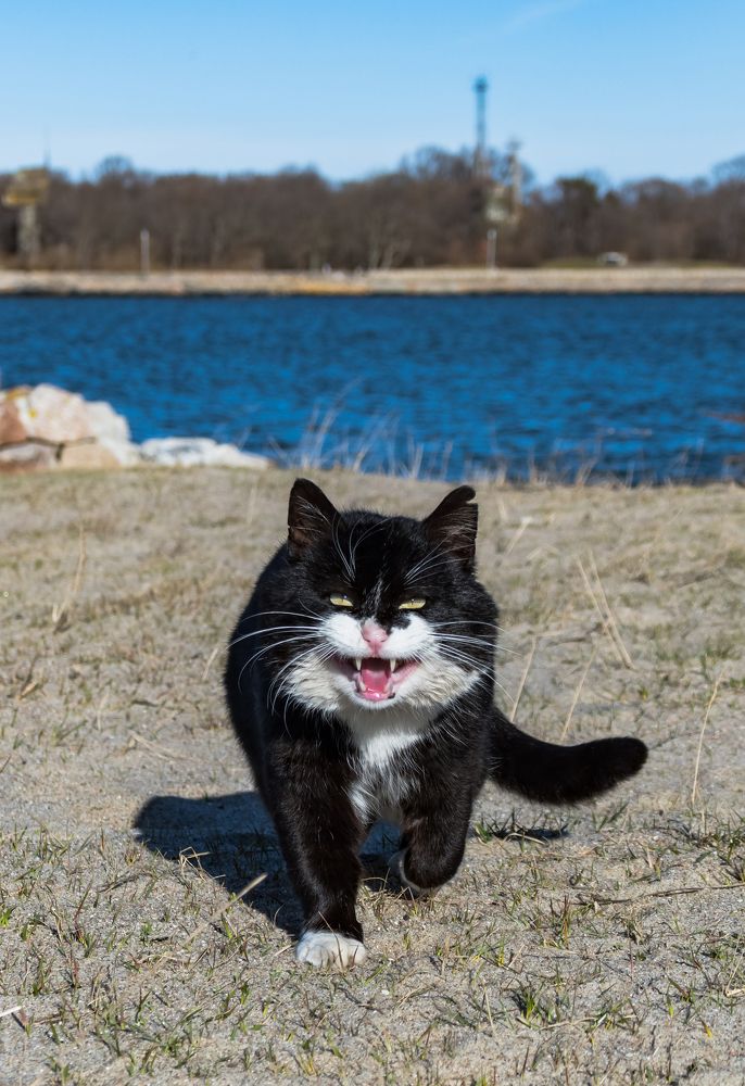 Photograph by Sveta_Poln