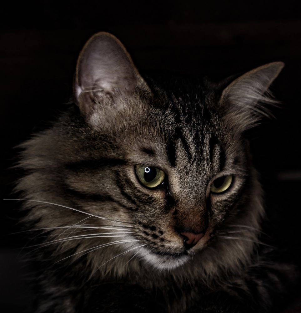 Photograph by ASHRAF FATHY BAKRY