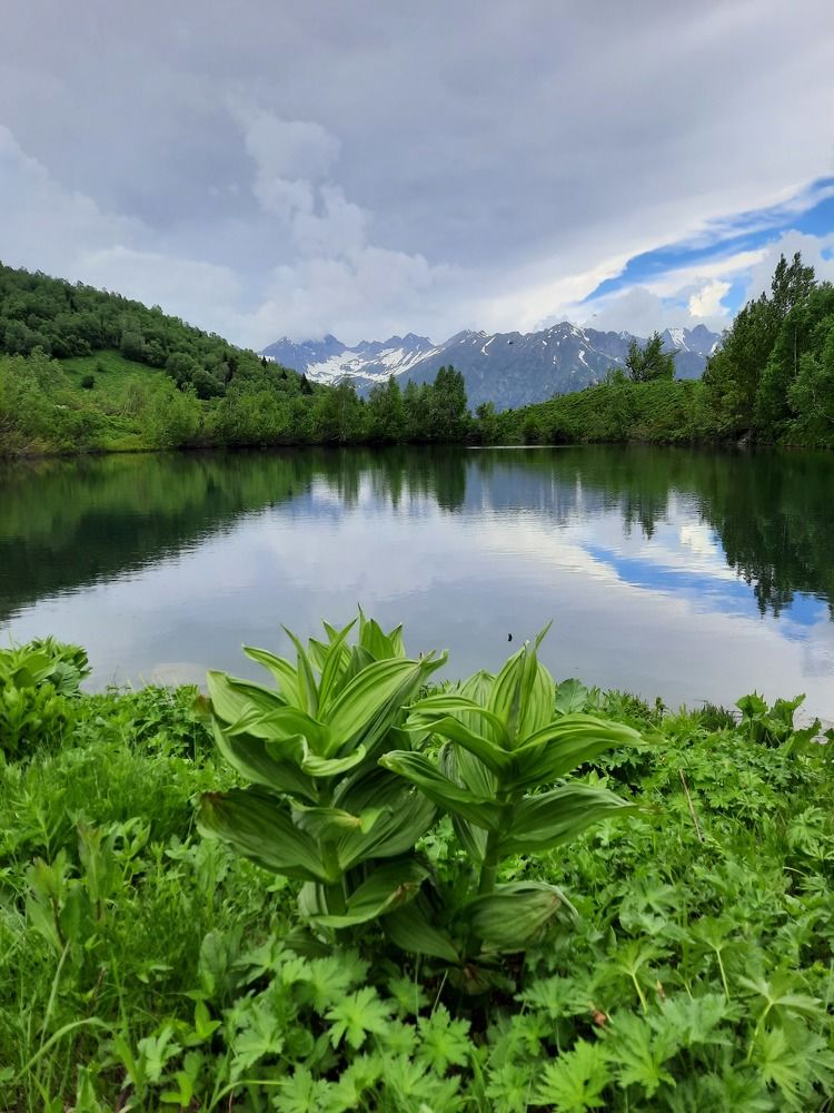 Photograph by Елена Валерьевна