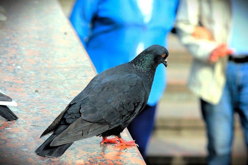 Фотография автора Вячеслав