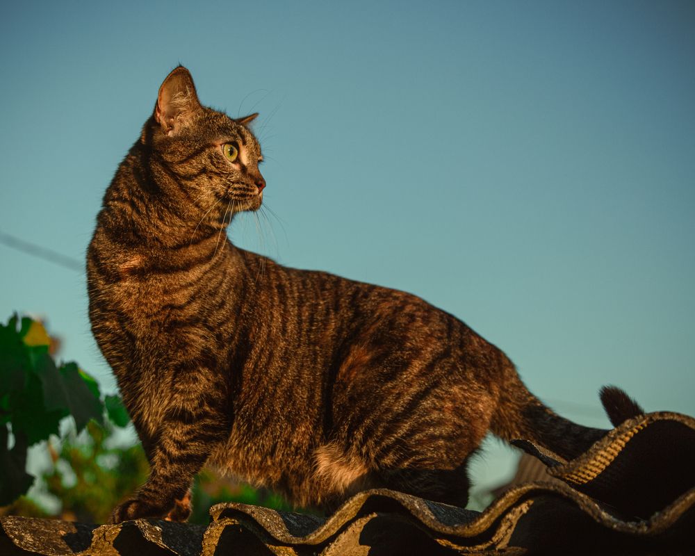 Photograph by Денис Литош