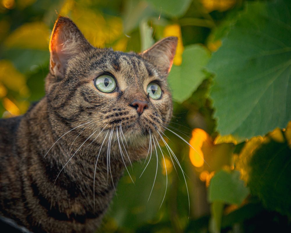 Photograph by Денис Литош