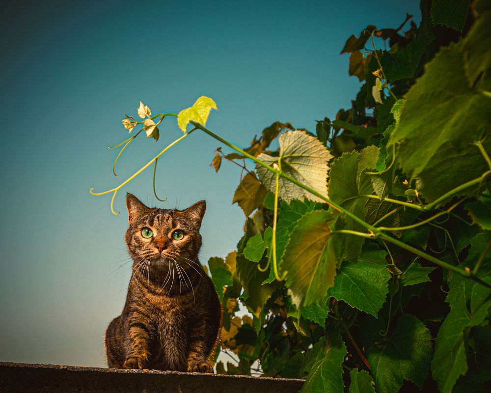 Photograph by Денис Литош