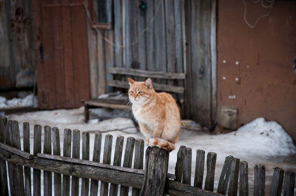 Photograph by Наталья Богородская