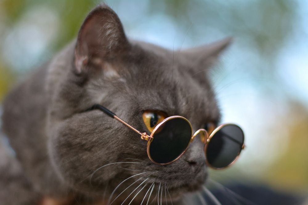 Photograph by Антонина Проскурина